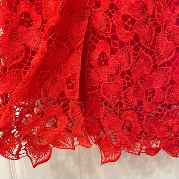 Ann Taylor Lace Dress - Picture 11 of 16